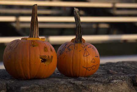 Children carve their own pumpkins at a student-run carving station | by Clement Doucette
