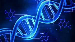 Strand of DNA | photo taken from Google