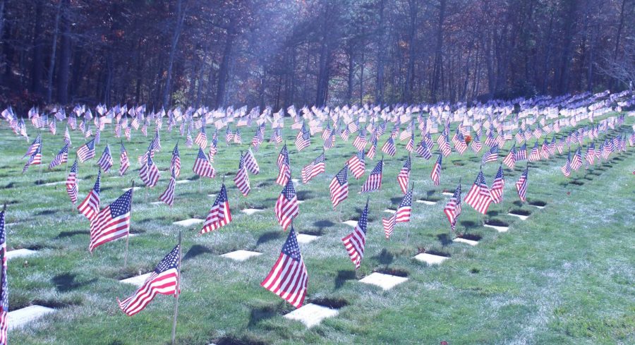 Operation Flags for Vets