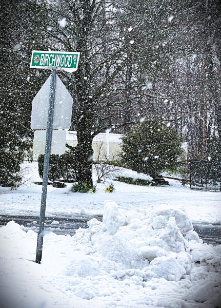 Snow accumulates on the corner of Birchwood and Woodrow | Big Red photo
