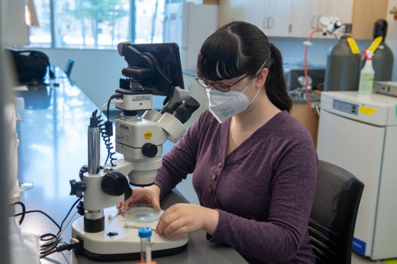 Jean Ganek using a microscope to study in college. 